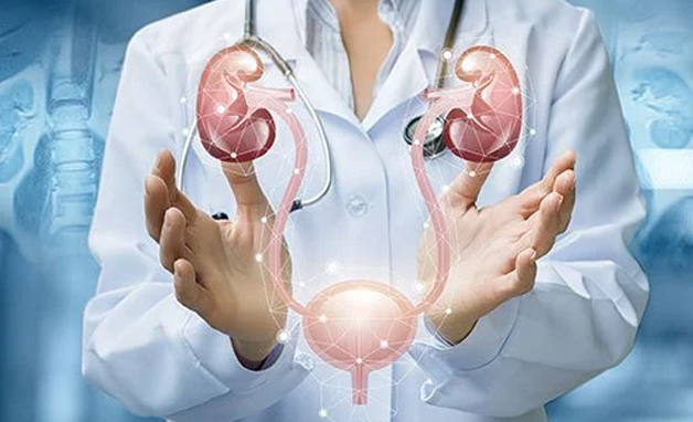 Best Urologists Rewa